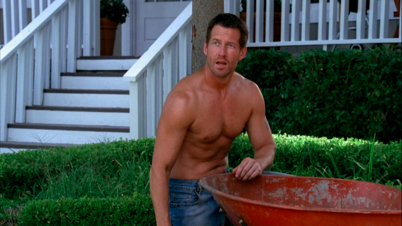 James Denton Shirtless Menoftv Shirtless Male Celebs Hot Sex Picture