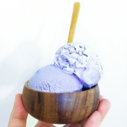 bysaber:  RAW VEGAN BLUEBERRY COCONUT SORBET RECIPE: Blend 1 cup of frozen blueberries, 2-3 frozen bananas, 1 tbspn of coconut flesh butter (Tools used: BlendTec Blender ) Besides being amazing for clearing skin, blueberries also improve brain health