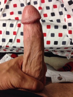 brothersisterlover:  brothersisterlover:  brothersisterlover:  Enjoy  More?  Who wants to see more  That&rsquo;s a man&rsquo;s cock