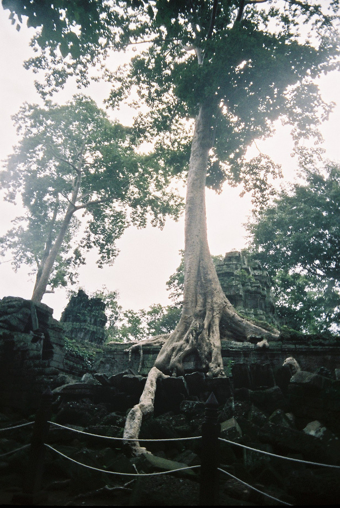 brutalgeneration:  Cambodia075 (by meyuss) 