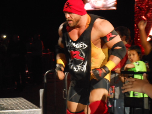 rollinslayer:  WWE Live; June 20th, 2014 adult photos