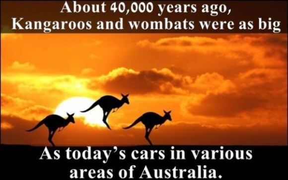 &hellip;.. you&rsquo;re telling me Australia has gotten LESS dangerous over