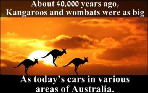 ….. you’re telling me Australia has gotten LESS dangerous over the last 40 years…. you full of shit internet!  XD