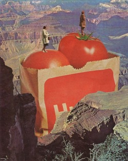 bestof-society6:   ART PRINTS BY JESSE TREECE