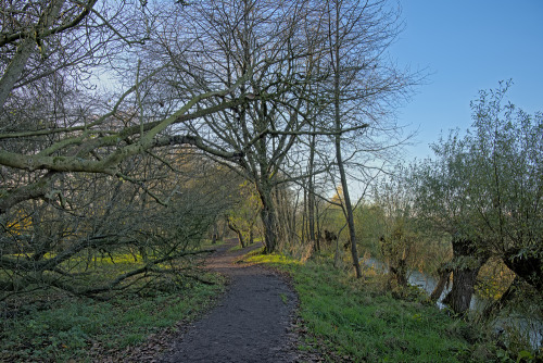 Winter sun over Bourgoyen nature reserve, Ghent, Belgium