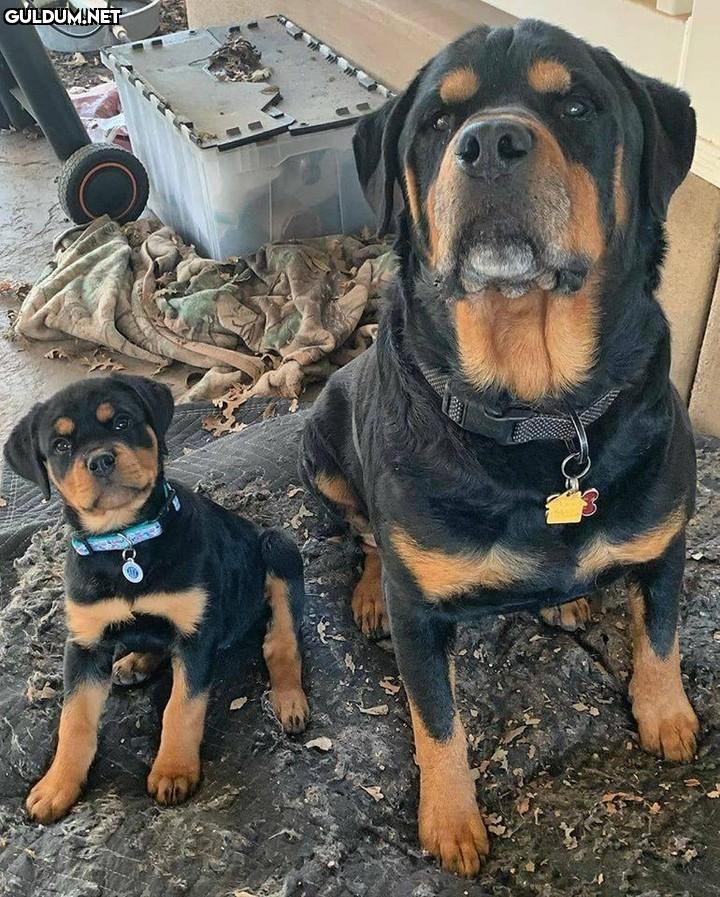 Baba & oğul... Günaydın 😊