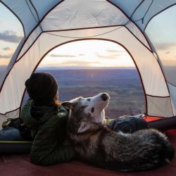 theadventurouslife4us:  #camping , That’ll do 🌅 / 📸 Loki the Wolfdog    👉 👉 👉   theadventurouslife4us.tumblr.com  