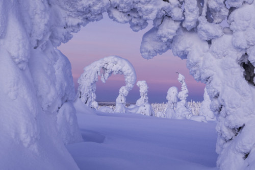 The Gateway to the Winter Wonderland by Veli-Pekka Hännikäinen Riisitunturi National Park, Finland. 