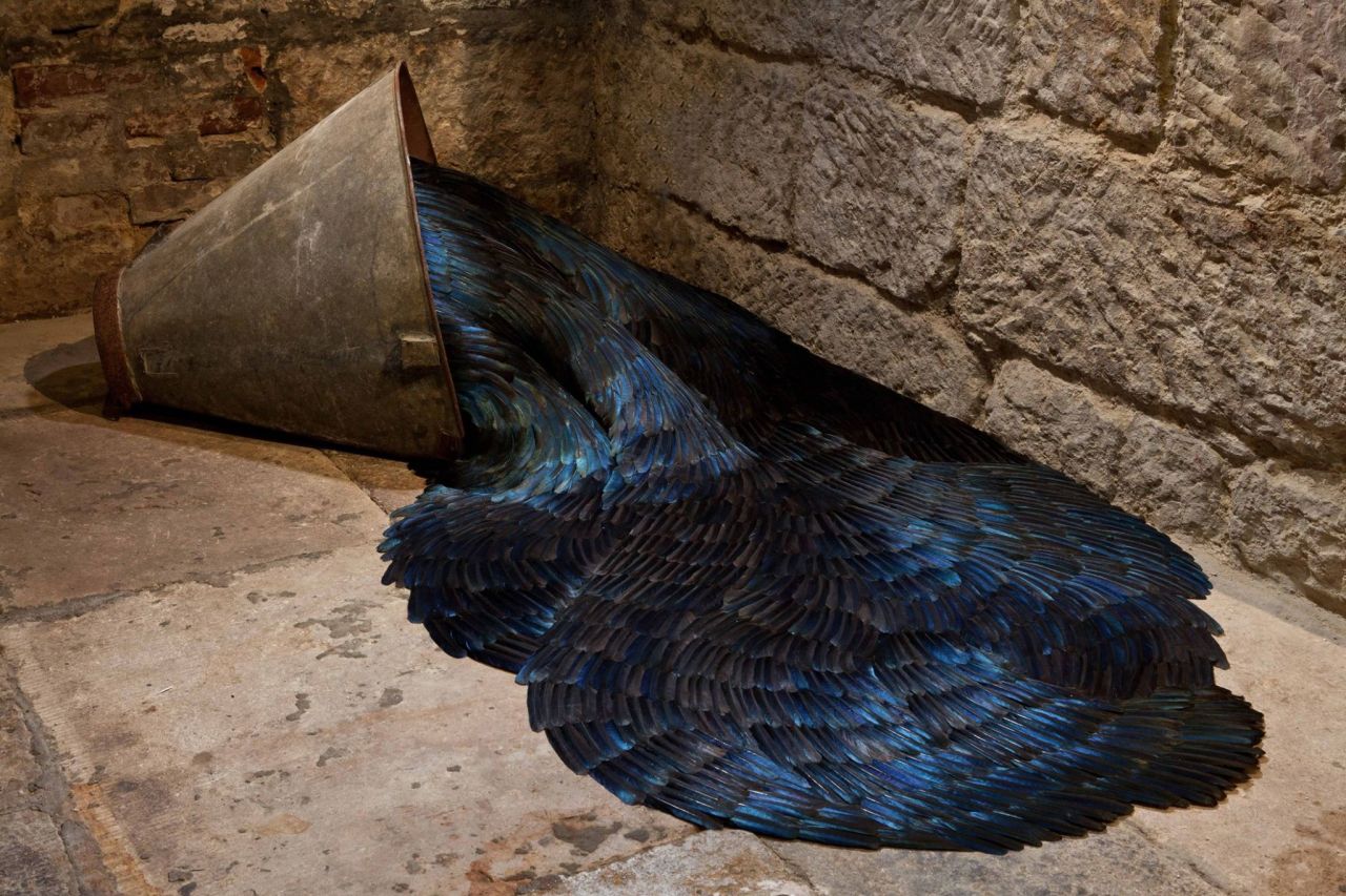 fer1972:  Sculptures made with Feathers by Kate MccGwire