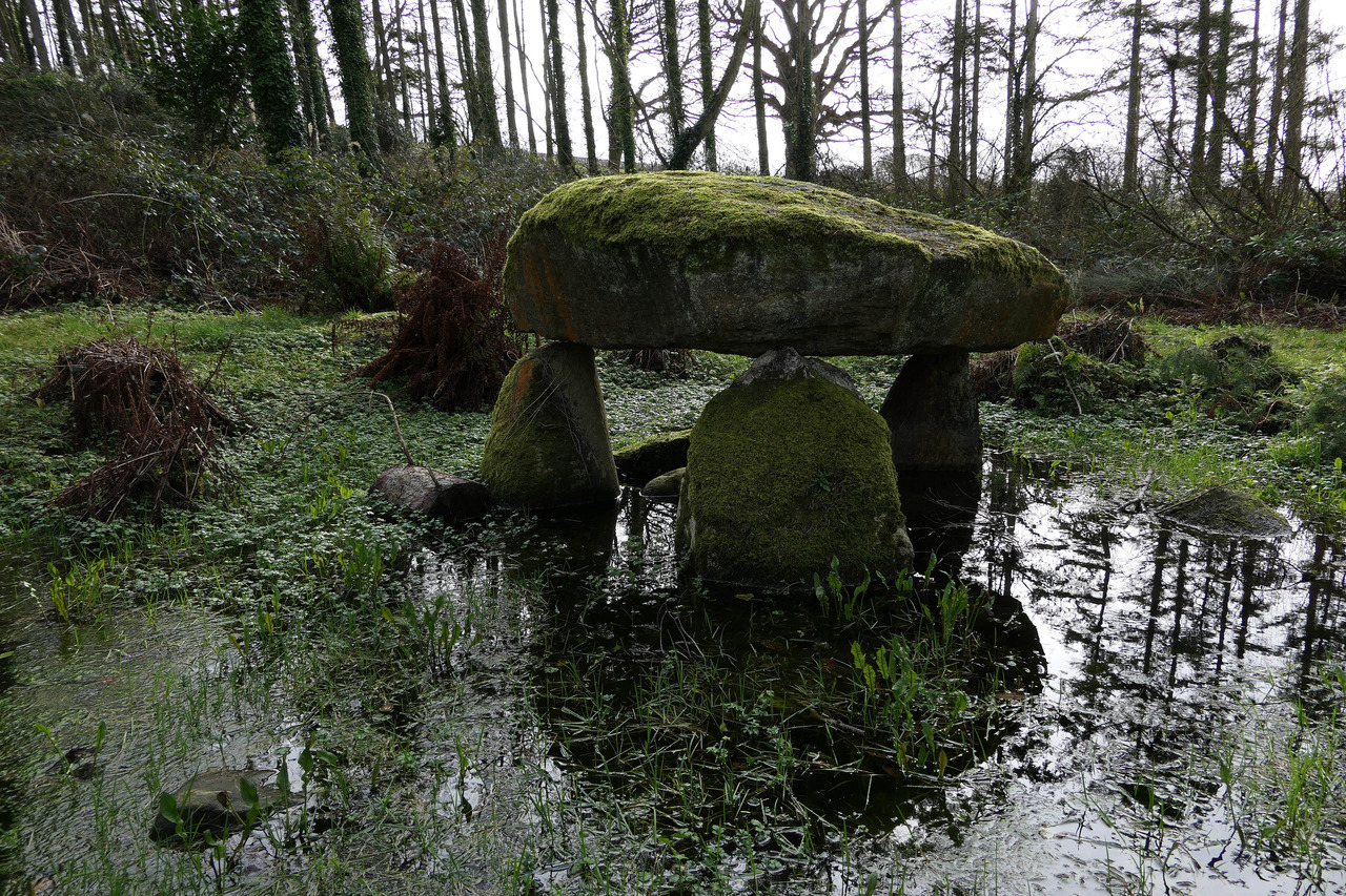 thesilicontribesman: Flooded Cromlech at Parc Glynllifon, North Wales, 16.2.18. It