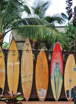 surfing-in-harmony:  🏄 