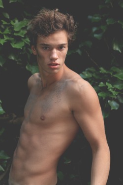 Shirtlifting:    Adam Loebbert   