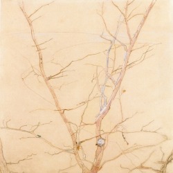 trulyvincent:Tree in SpringEgon Schiele - circa 1908