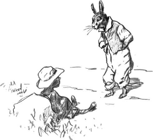 kemetic-dreams: Br'er Rabbit /ˈbrɛər/ (Brother Rabbit), also spelled Bre'r Rabbit or Brer Rabbit, is