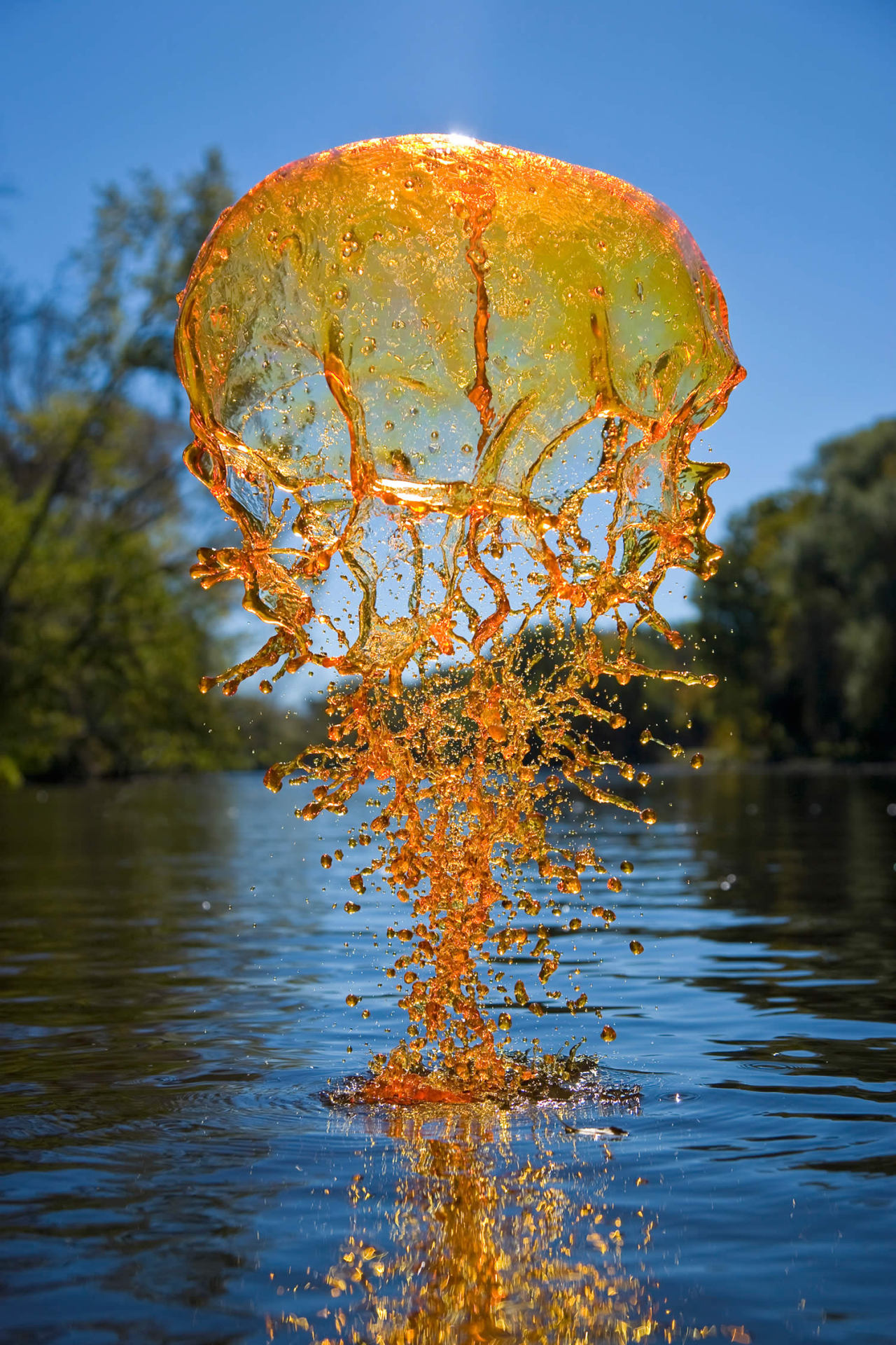 SPECTACULAR “RIVER GIANTS.” High-speed photography by Jack Long.
View more!