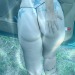 blfhubby-hotwife: