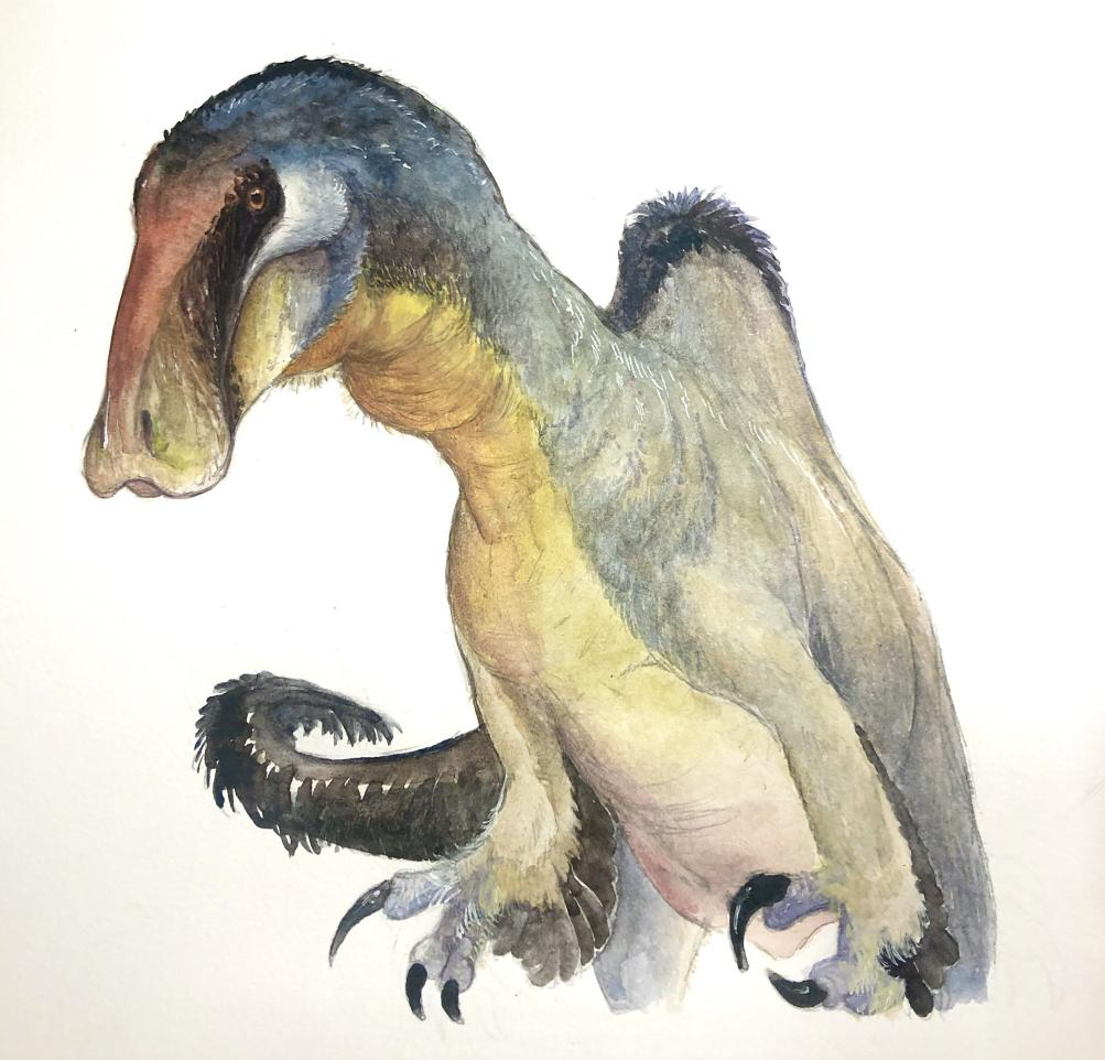 A Dinosaur A Day — Deinocheirus mirificus