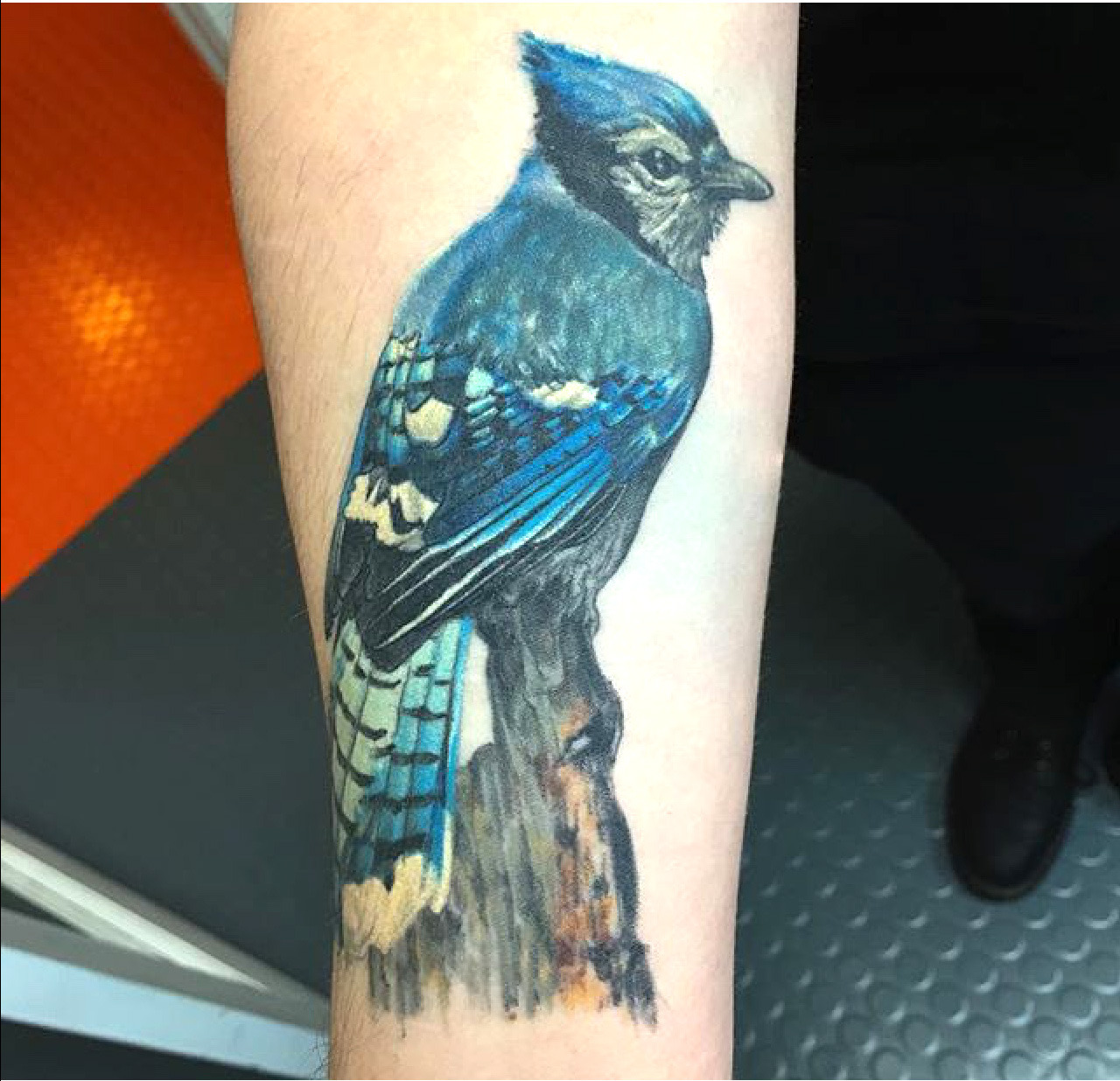 Saint Sabrina S Bleach Did This Blue Jay Tattoo A Few Months Back