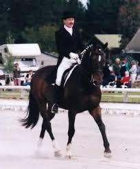 swedishdressage: equine-101: It is with a heavy heart that I post this. Uraeus the German Warmblood 