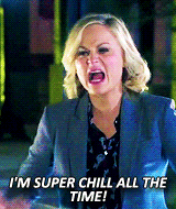 chanderbing:   Get to know me meme - [1/5] favorite female characters: Leslie Knope