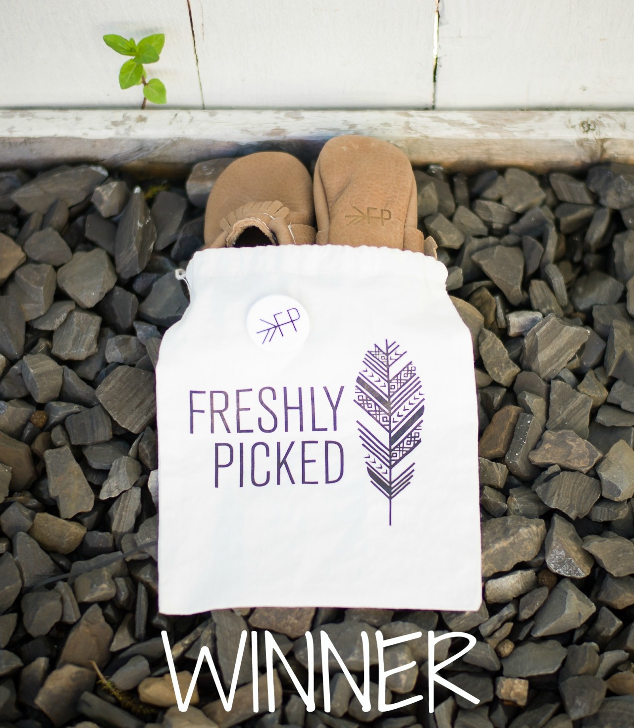 The winner of the “Freshly Picked” moccasins is Amanda Z.! Congratulations, Amanda :) Look for my e-mail so you can tell me what colour and size moccasins you would like!
Thank you so much to all those who entered! I enjoy sharing about products I...