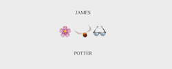 happybenedict:  marauders emoji graphic inspired