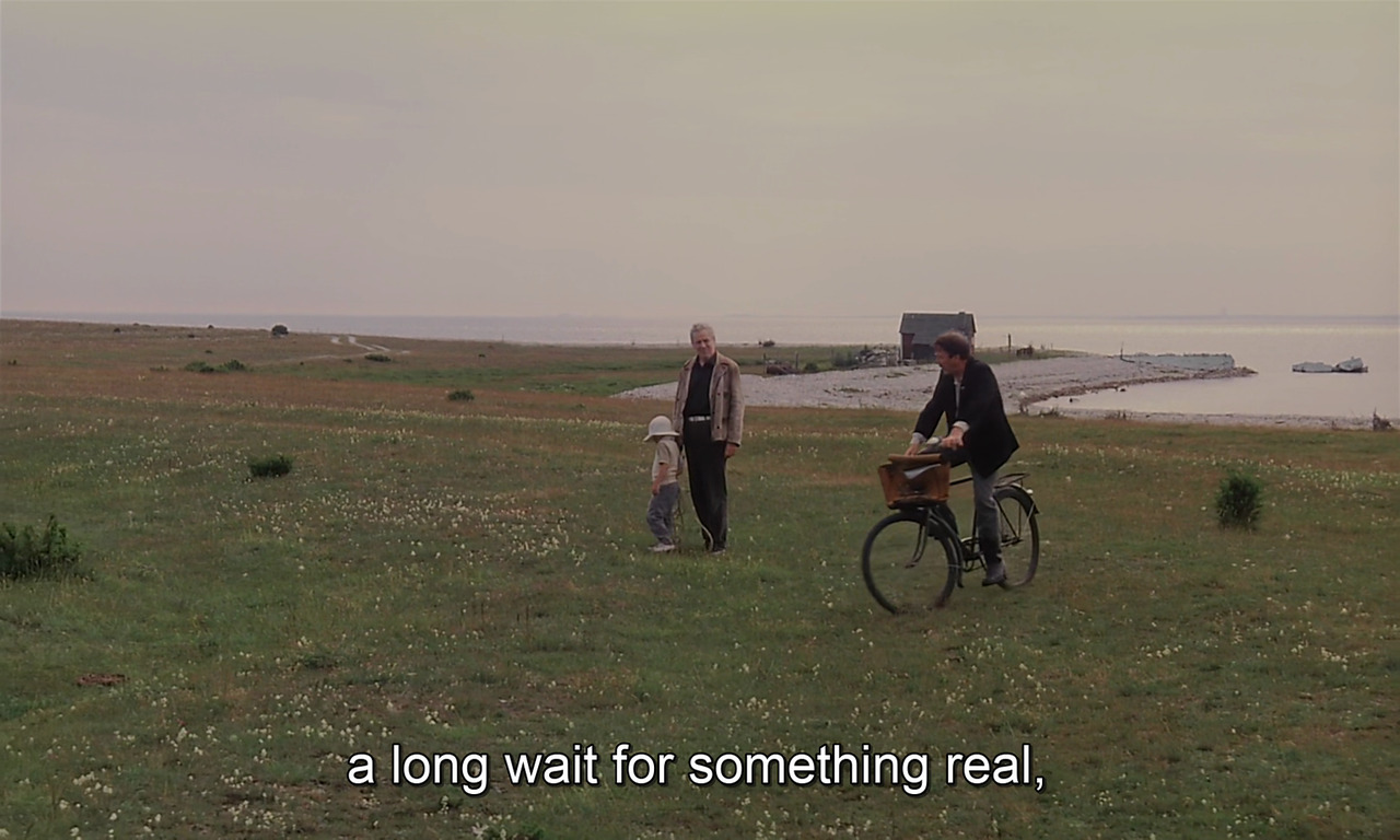 timotaychalamet: The Sacrifice (1986) dir. Andrei Tarkovsky