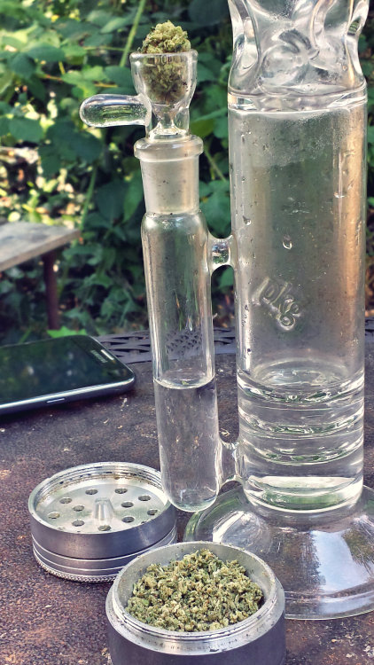overidealism:  the new piece we picked up during hempfest weekend!  