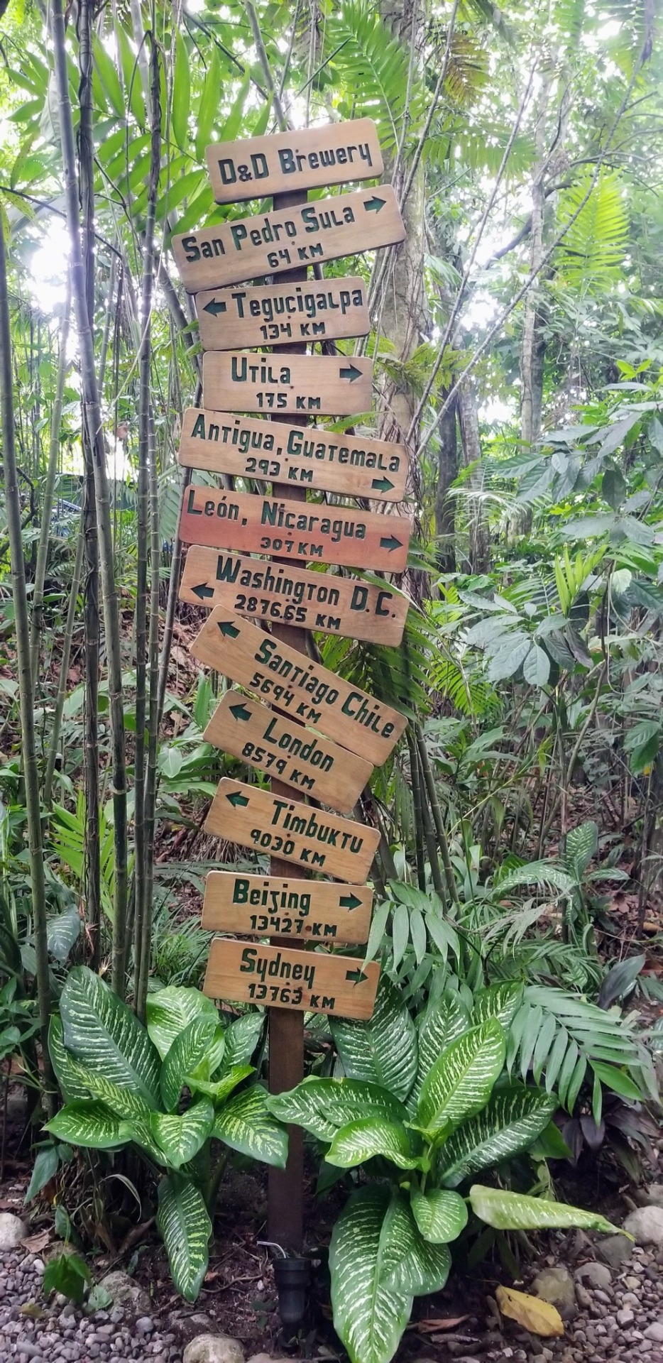 D&D Brewery, Honduras
