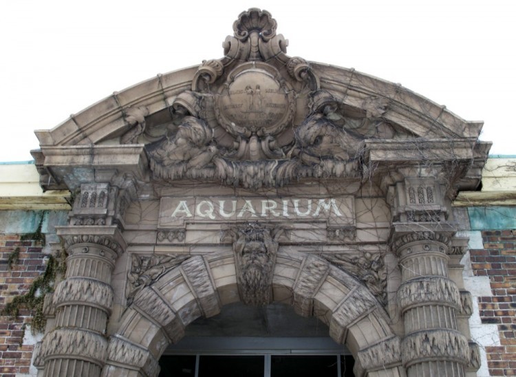 preservationporn:  Belle Isle Aquarium, Detroit The aquarium, designed by Albert