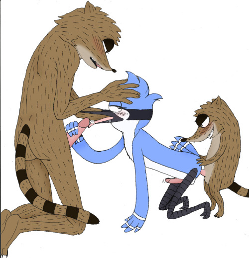 Regular show mordecai x rigby human