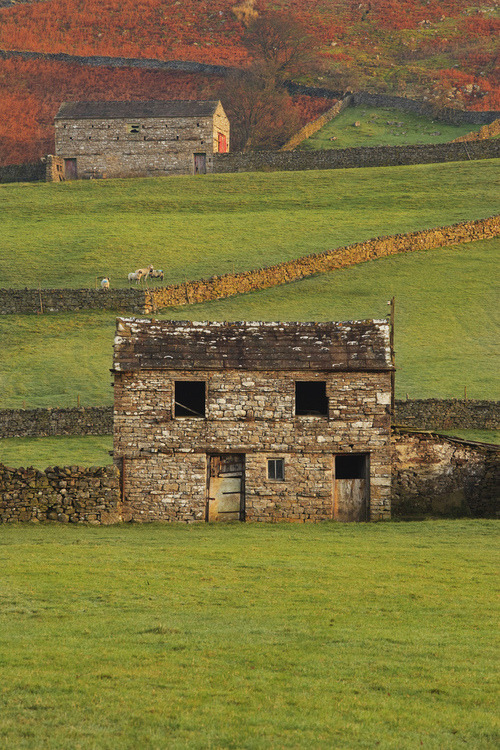 bluepueblo:  Stone Barn, Yorkshire Dales, England photo via james