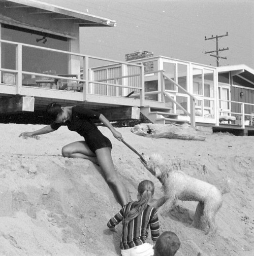 olivethomas:Eartha Kitt at the beach, 1957