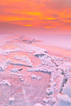 sundxwn:  Pink Delight by Andrew Davidson 