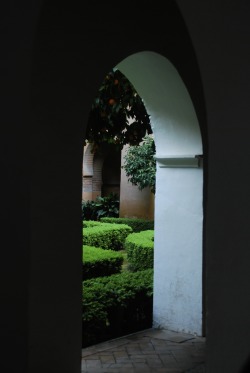 somethingblueart:  Alhambra Palace in Granada,