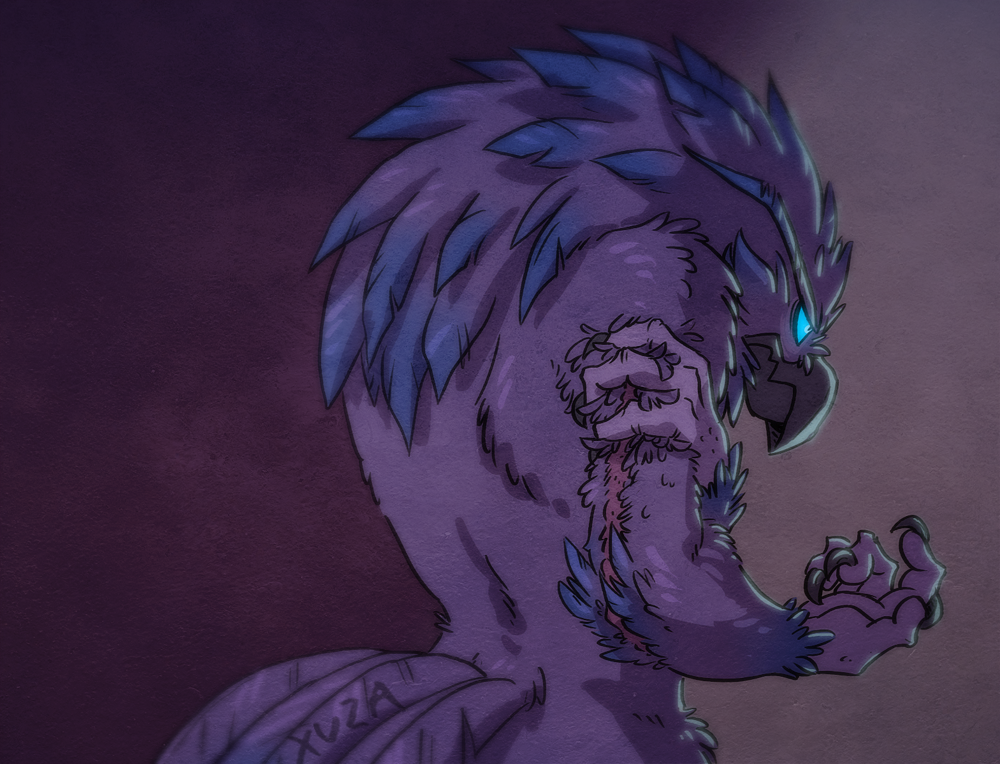 xuza:  A detail I don’t draw because simplicity, and also his feathers have grown