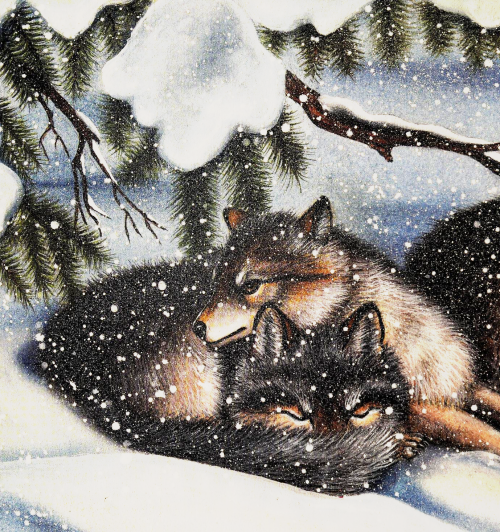 antiqueanimals: From My Little Book of Timber Wolves, written by Hope Irvin Marston and illustrated 