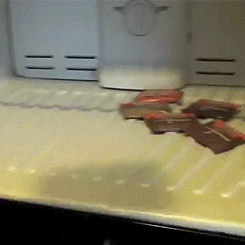 zlhat:“We basically have the fridge of, like, a six year old” - [x]