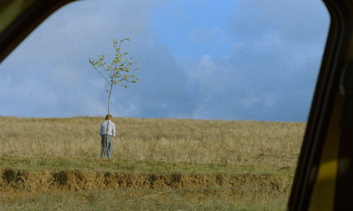 artfilmfan:  Life, and Nothing More… (Abbas Kiarostami, 1992)