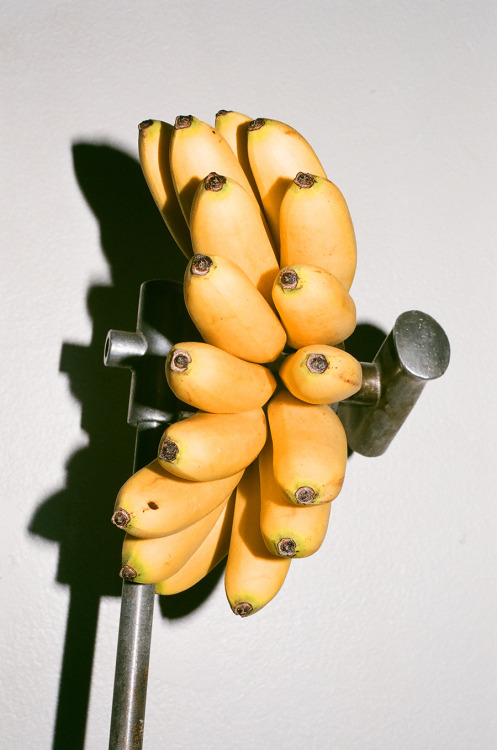 fruit bondage