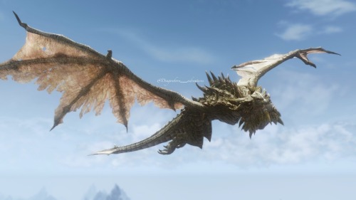 dragonborn-adventures:  Alduin and Paarthurnax 