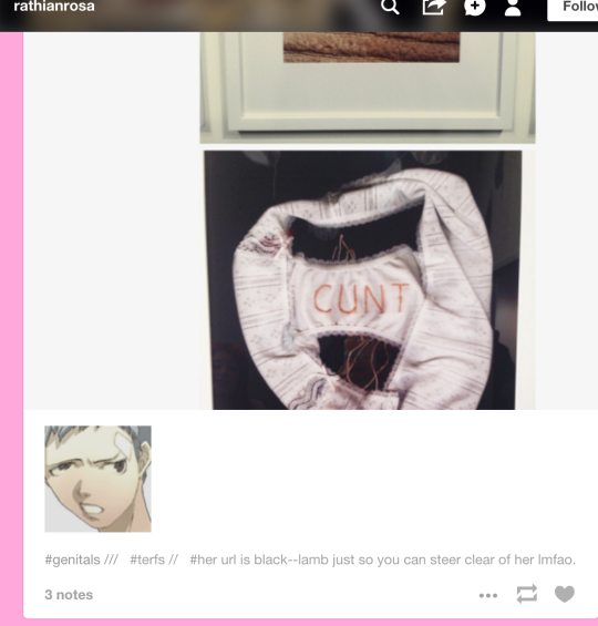 trans-crystal-gem-jasmine:  black–lamb:  rathianrosa:  > visits somebody’s feminism tag to see if they’re a terf or not >    1. i attended that show 2 years ago when i lived in TN. I honestly forgot what the message of the show was. I