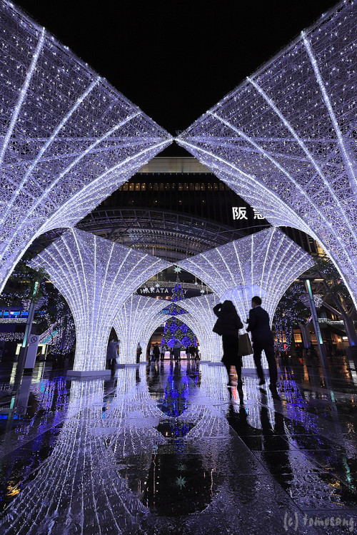 Hakata Illumination Festival by tomosang