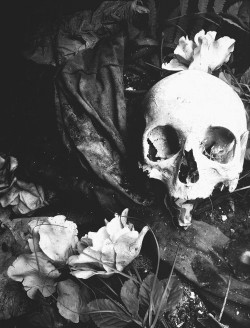 Scavenger of Human Sorrow
