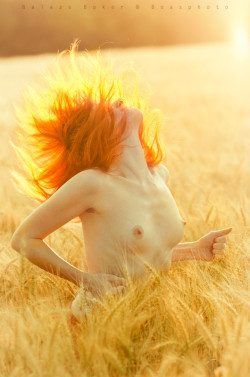 500pxpopularnude:  Burning field by Boasphoto , via http://ift.tt/1m01Jks