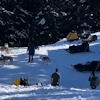 birdsareblooming:birdsareblooming:birdsareblooming:thinking about how they built