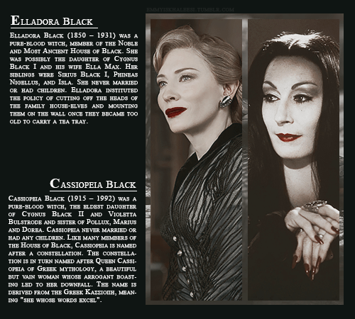 sincerelysansa: toujours pur; ladies of the noble and most ancient house of black.