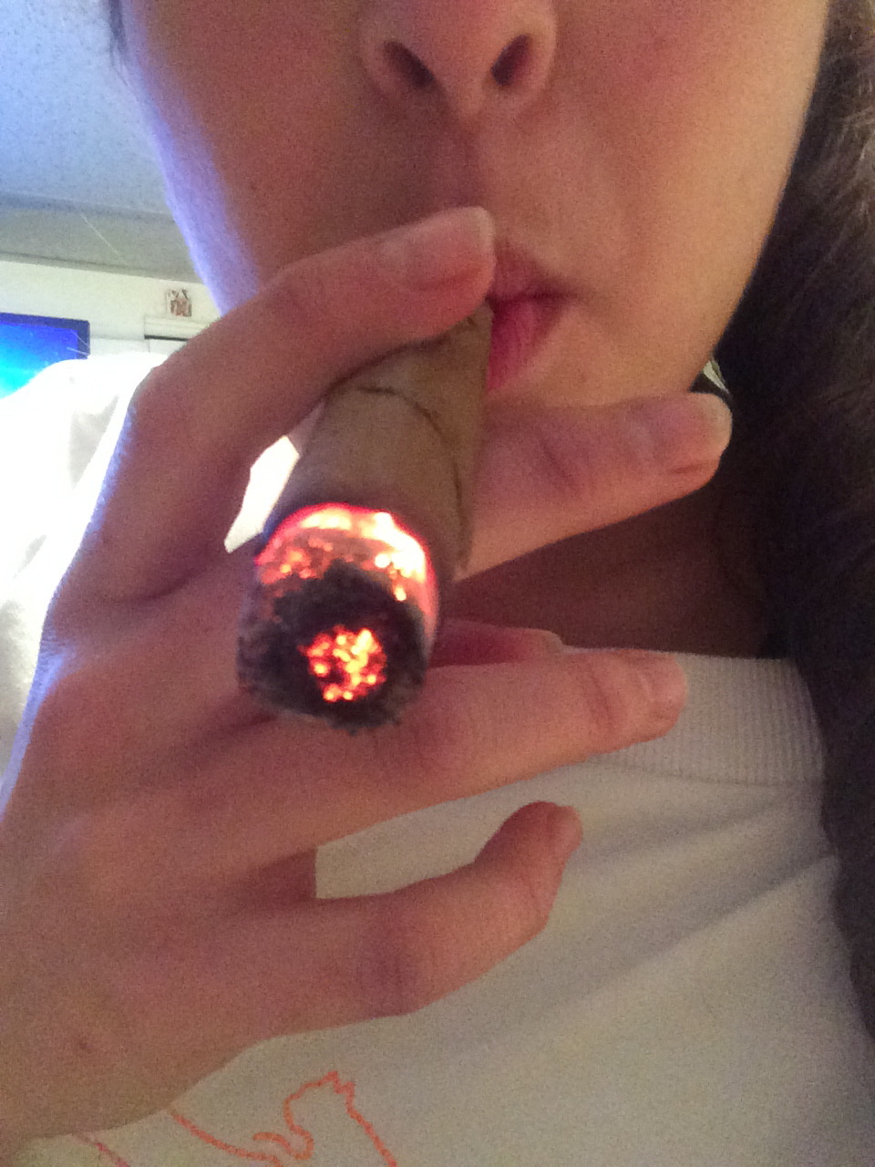highbernation-hime:  Christmas 2013 Gotti; gutted &amp; stuffed by yours truly.