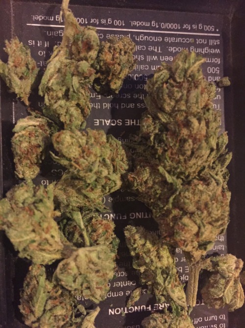💜❤️‍🔥💜