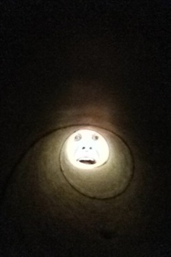 angrynerdyblogger:  anus:  &ldquo;Took a selfie through a paper towel roll, it turned out really creepy looking&rdquo;  it’s like an ungodly sun 